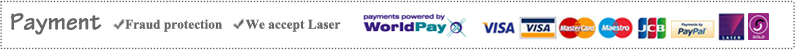 Payments powered by world pay