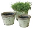 All Products | Purple & greens | Rustic Glazed Flower Pots - Set of 3