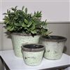 All Products | Purple & greens | Rustic Glazed Flower Pots - Set of 3